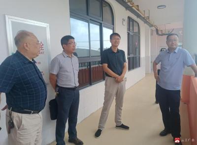 【越·广水】市教育局到杨寨镇中心幼儿园检查指导开园工作