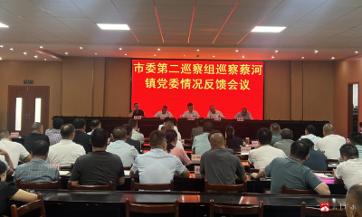 【越·广水】市委第二巡察组向蔡河镇党委反馈巡察情况