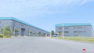 【越·广水】从“执法者”到“服务者”——广水“法治体检”开良方 以服务温度筑牢营商环境“法治基石”