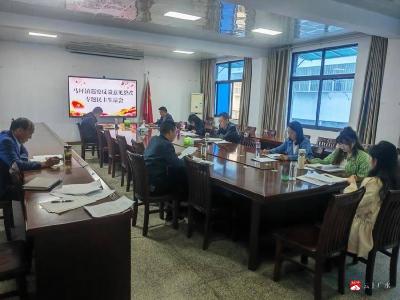 【越·广水】马坪镇高质量召开巡察反馈意见整改  专题民主生活会