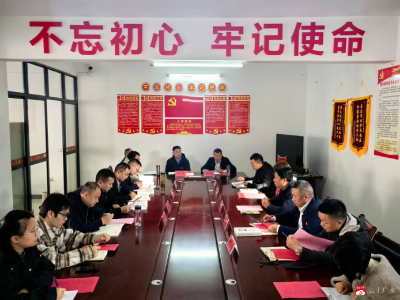 【越·广水】党建聚力促振兴 金融普惠暖朱店 ——三方联合开展主题党日活动