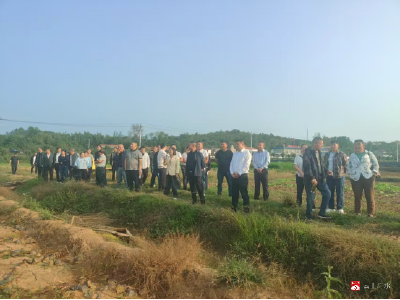 【越·广水】余店镇抢抓农时全力推进秋冬播 保障粮油安全筑牢丰收根基