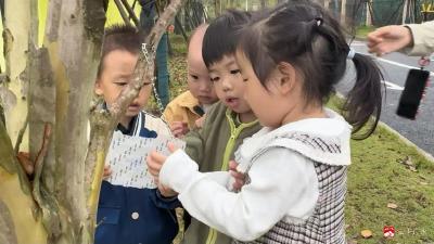 【越·广水】认养一棵树，与它共成长  ——永阳幼儿园里播下绿色的承诺