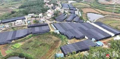 【越·广水】退休交通民警走进“菇学堂”送安全