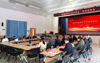 广水市一医院迎接“癌痛规范化治疗病房”现场评审