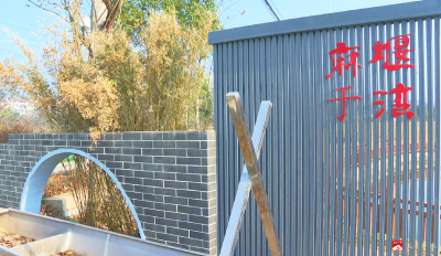 【悦·广水】以美兴湾！余店镇麻堰于湾实现“颜值”“内涵”双提升