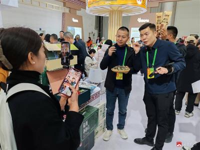 【越·广水】菇香飘农博，随州香菇成“流量明星”