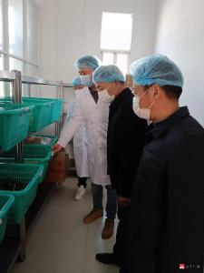 【越·广水】陈巷镇幸福中心小学：校院携手，共筑校园健康防护网  