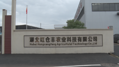 【委员风采】潘晓枫：小香菇撑起致富伞