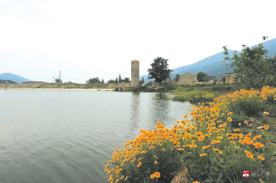 【越·广水】广水市武胜关镇桃源村：文明新风满桃源