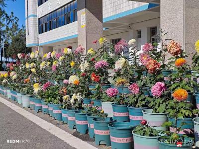 【越·广水】吴店镇中心中学积极开展课外社团活动