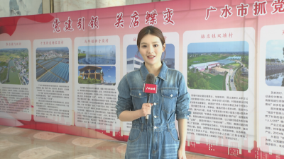 【越·廣水】我市村黨支部書記熱議抓黨建促鄉村振興經驗交流會精神