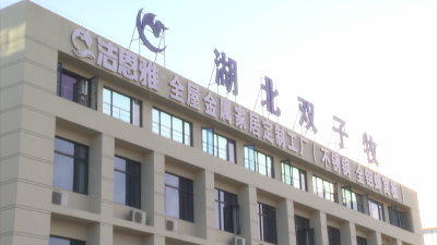 【越·广水】双子牧家具产销两旺   生产线满负荷运转赶工忙