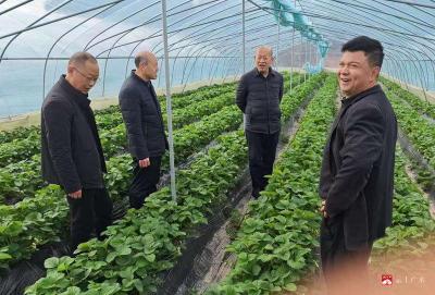 【越·广水】市实验高中走访慰问驻点村困难群众