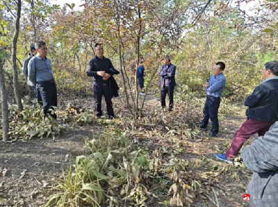 【越·广水】广水市召开其他国土绿化项目退化林修复现场培训会
