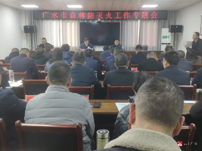 全市森林防灭火工作专题会议召开