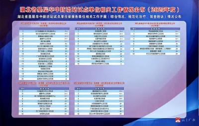 我市基层卒中防治工作荣立佳绩，守护群众健康再建新功