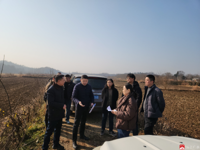 省绩效评价组赴广水开展全域土地综合整治项目绩效评价