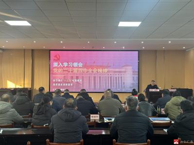 蔡河镇组织召开学习贯彻党的二十届四中全会精神宣讲报告会
