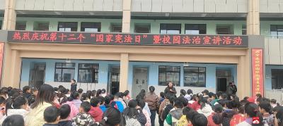 长岭镇平林中心小学开展“国家宪法日”宣传教育活动