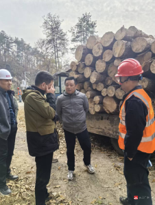 随州市森林病虫害防治检疫站检查指导广水市疫木除治工作