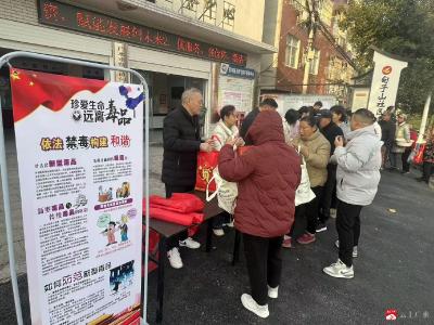 乡镇普法正当时 宪法精神入民心