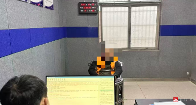 速破年货盗窃案！骆店派出所为老人追回80斤被盗猪肉