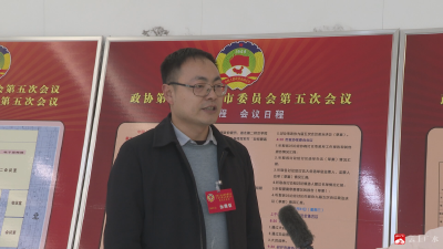 【聚焦两会】听！委员声音里的发展“政”能量