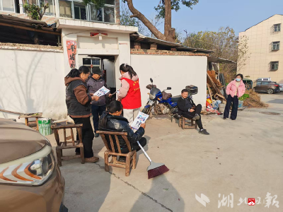城郊街道：清洁家园焕新颜 医保宣传入人心