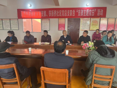 党建联建聚合力  凝心铸魂启新程 ——广水市委统战部机关党支部与广办铁板桥社区党总支联合开展支部主题党日活动