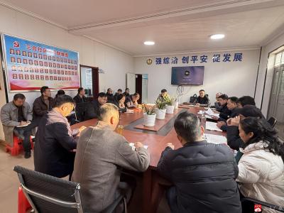 市衛(wèi)健局十里三合社區(qū)聯(lián)合開展支部主題黨日活動