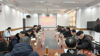 廣水市建立優(yōu)化營商環(huán)境助企紓困“項(xiàng)目提速”協(xié)調(diào)機(jī)制