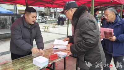 广水市：宣传营商环境条例 弘扬宪法精神