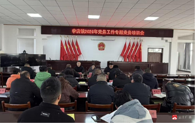 李店镇召开党务工作专题业务培训会
