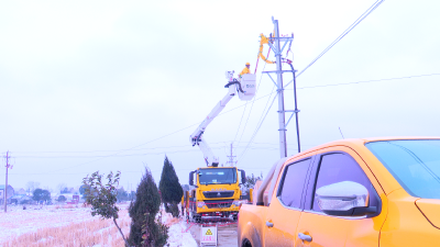 市供电公司：风雪无阻保供电  守护万家灯火