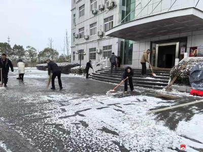 以雪为令践初心 志愿铲雪暖乡邻
