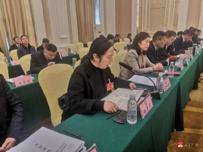 随州人大广水代表团呼吁关注“一老一小”