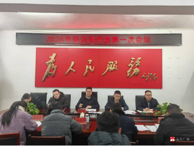 骆店镇召开2026年党委第一次会议