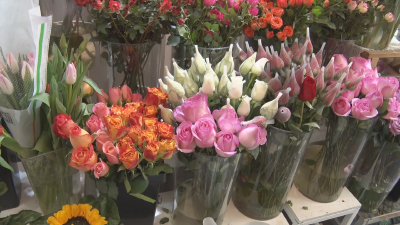 腊月花店人气旺  馨香馥郁年味浓