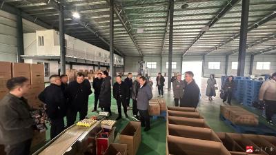 聚力招商百日攻坚 奋战首季开门红：“凤鸣关庙，兴业福地”招商恳谈会圆满举行