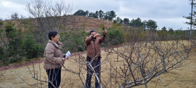 直通式气象服务进桃园 护航春管关键期