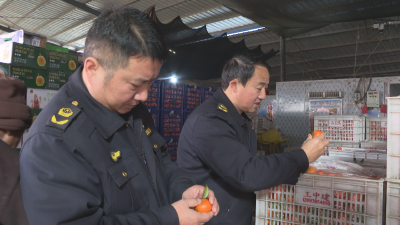 守护“果盘子”安全! 市市场监督管理局联合专班开展水果市场专项检查