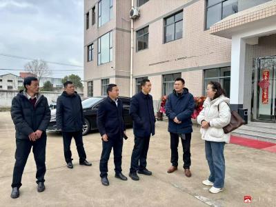 武胜关镇：走访企业解难题   精准服务助复工