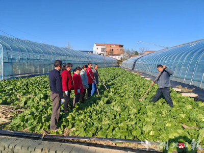 广水：监督赋能 激活“三白”蔬菜产业大发展