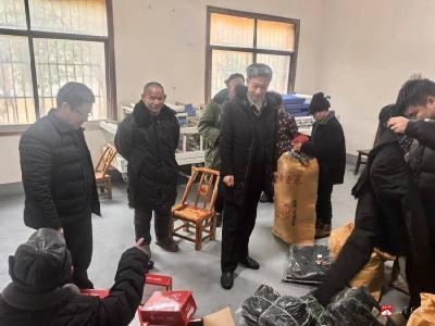 武胜关镇：新春慰问暖民心 兜底保障护平安