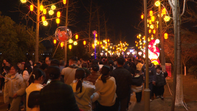 欢欢喜喜过大年｜灯会璀璨点亮新春   市民游园欢度佳节