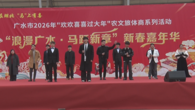 欢欢喜喜过大年｜以歌会友展风采 广水青年歌手大赛圆满收官
