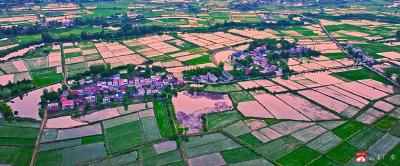 广水16万余件土地确权档案数字化成果面向社会开放