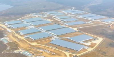 中粮6.8亿元生猪全产业链项目在广水投产