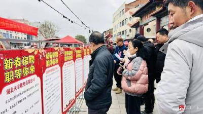 春风送岗进镇办 精准服务暖民心——广水市开展镇办巡回招聘活动